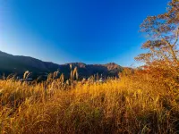 Fuji-Hakone Guest House