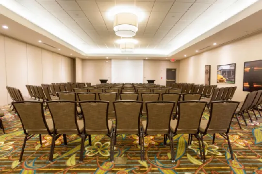 邁克艾倫德魯裏套房酒店