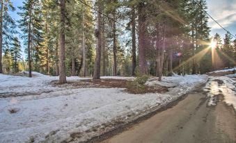 Mountain Tops Ponderosa Getaway Near Dome Rock!
