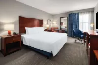 Hampton Inn & Suites El Paso-Airport - Gym