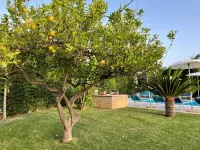 Relais Dea Degli Ulivi House