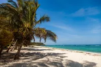 Tiwani Sunset, a Little Piece of Eden Hotels in Tiwi