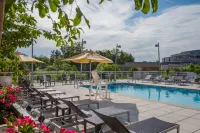 Courtyard Bethesda Chevy Chase Hotels in Friendship Village