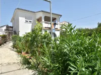 Lidija - Pet friendly