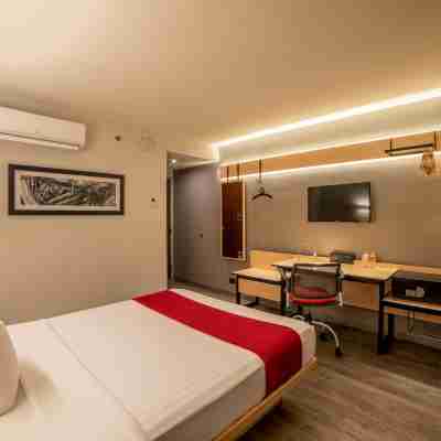 City Express Plus by Marriott Guadalajara Palomar Rooms