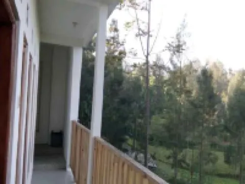 Casa Bromo Homestay Hotéis em Tosari