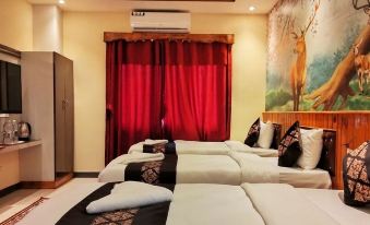 Hotel Red Crown Pvt Ltd-Bardibas