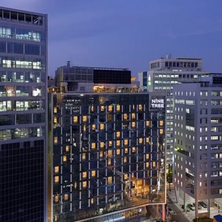 NINE TREE BY PARNAS SEOUL MYEONGDONG 2