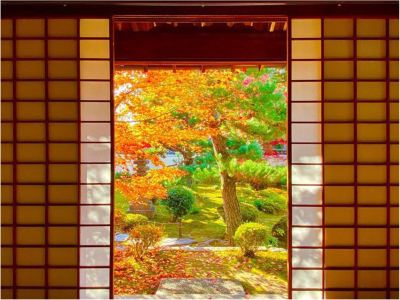 その他 サンメンバーズ京都嵯峨の写真