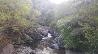 Jeongseon Gariwangsan Pension