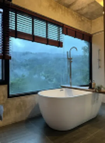 ไฮ แลนด์ ฟอเรสต์ วิว