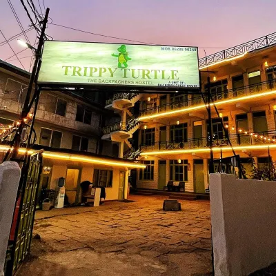 Trippy Turtle Hostel Hotels near Manali - Leh Highway