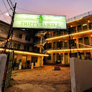 Trippy Turtle Hostel