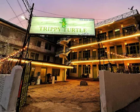 Trippy Turtle Hostel Hotels in Kullu District