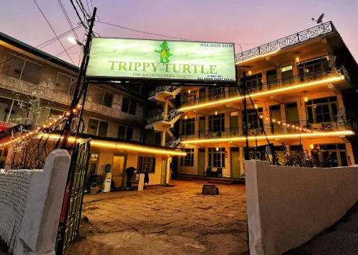 Trippy Turtle Hostel