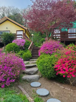Pocheon Haneulbat Pension - Pet friendly
