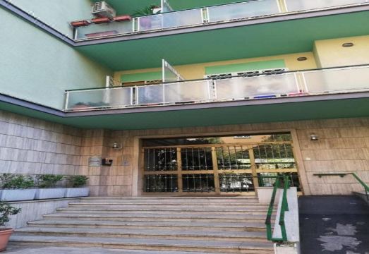 도무스 바티칸 홀리데이 정책