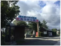 Toraya Hotels in Iide