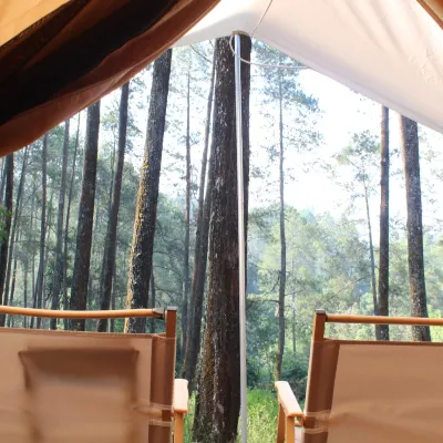 Lembah Pinus Hotels near Bandung Treetop