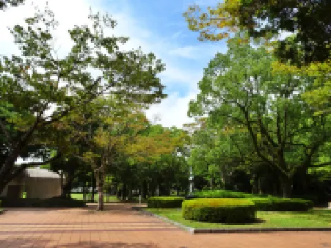 New Wel City Miyazaki Hotels in Miyazaki