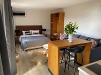 Cactus Suberb Suite With Private Pool - Homestays