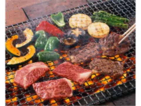 Hotel Park Terrace OGA