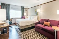 Hilton Garden Inn Minneapolis Airport Mall of America