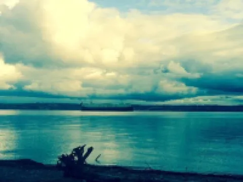 Point Robinson Lighthouse - Keeper's Quarters B Hotels in Vashon