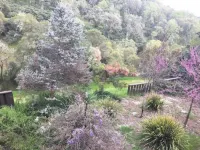 Verona: Awesome Views, Pool, Vineyard, Hot Tub! Hotels near Mill Creek