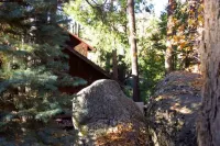 Twin Rock Tree House - Vintage Cabin