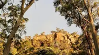 Self Contained Cottage in Bowral with Fireplace