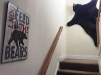 Chattahoochee Heaven -  Best Location in Helen!!