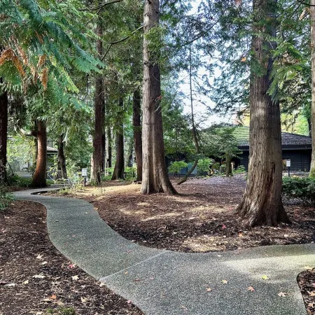 Modern Downtown Bellevue Condo, Free Parking