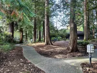 Modern Downtown Bellevue Condo, Free Parking