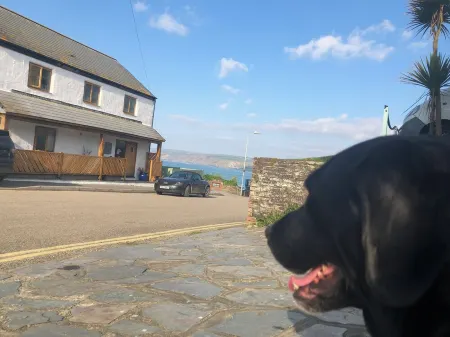 Lundy - overlooking Port Isaac Bay beautiful apartment with Sea Views & parking Отели в г. Port Isaac