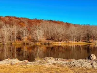 Lake Road Log Cabin A — Million Dollar Ozark view!