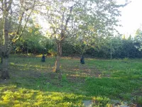 Spacious apartment in a small 50s villa with large garden and fireplace Hotels in Langen