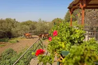 Horse House, Etna volcano, relax and quiet