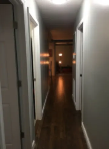 Entire House Near JMU