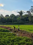 Homestay Villa D'Manggis Hotels in Titi Gajah