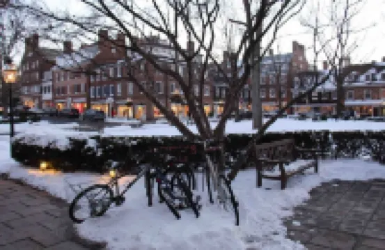 Sunny Retreat 4 BR Ranch w Spacious Backyard