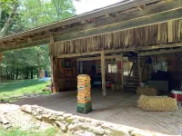 Cozy Tiny Cabin Retreat Hotels in Wayne County