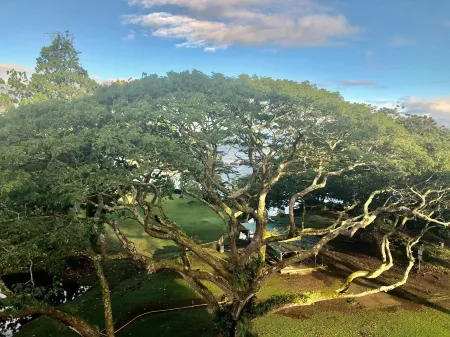 OCEAN VIEW 2BRM WITH BEACH PARK NEXT DOOR Отели рядом с Аэропорт Хило