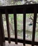 Creekside Cabin near Lost Maples State Park - Chalets