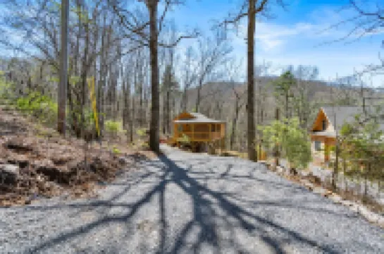 NEW Cabin 15 min to Asheville with Blue Mountain Views!