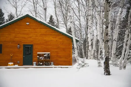Northwinds Adventures-Walleye Cabin