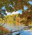 Updated, bright, and peaceful cottage in Lakeside Hotels in Chikaming Township