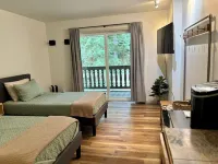 INN the Mountains Mt Baker • Ski•Hike•Pets • Glacier Hotels in Whatcom County