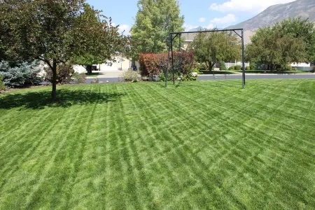 Family friendly home close to ski resorts, mountains, lakes, BYU, and UVU Отели в г. Плезант Гров