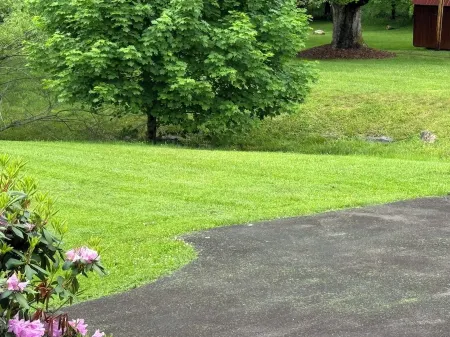 Welborn House - Creekside